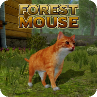 Forest Mouse