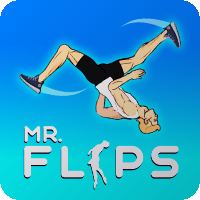 Mr Flip